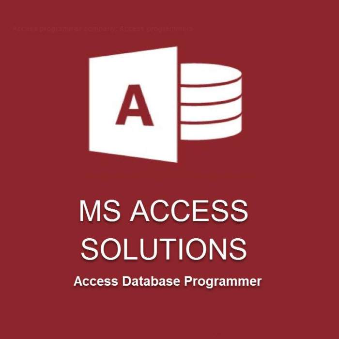 Microsoft Access Development Tool | MS Access Solutions Microsoft Access Development Tool | MS Access Solutions