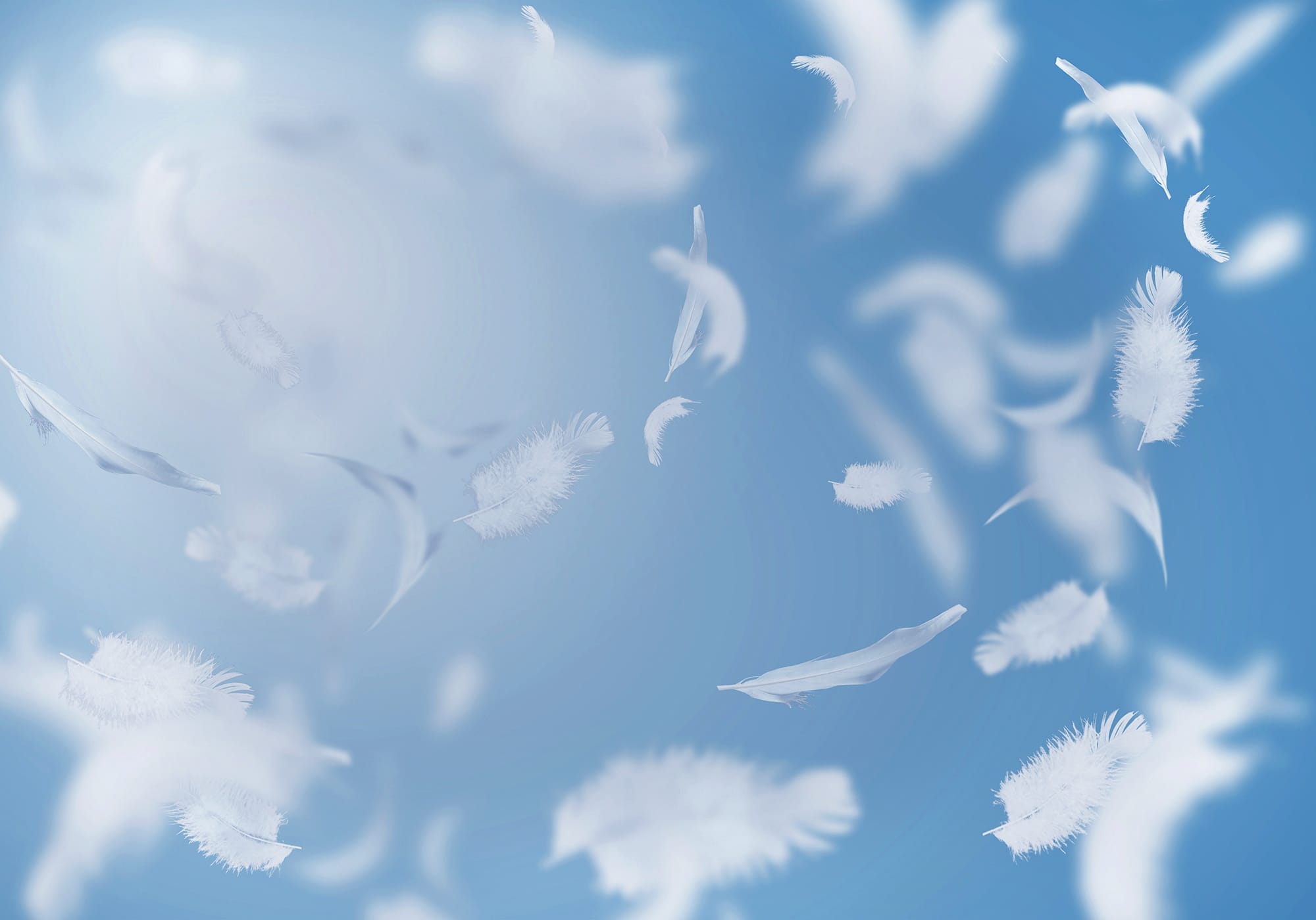 Sleep Questionnaire Maritime Sleep Clinic and Respiratory Services