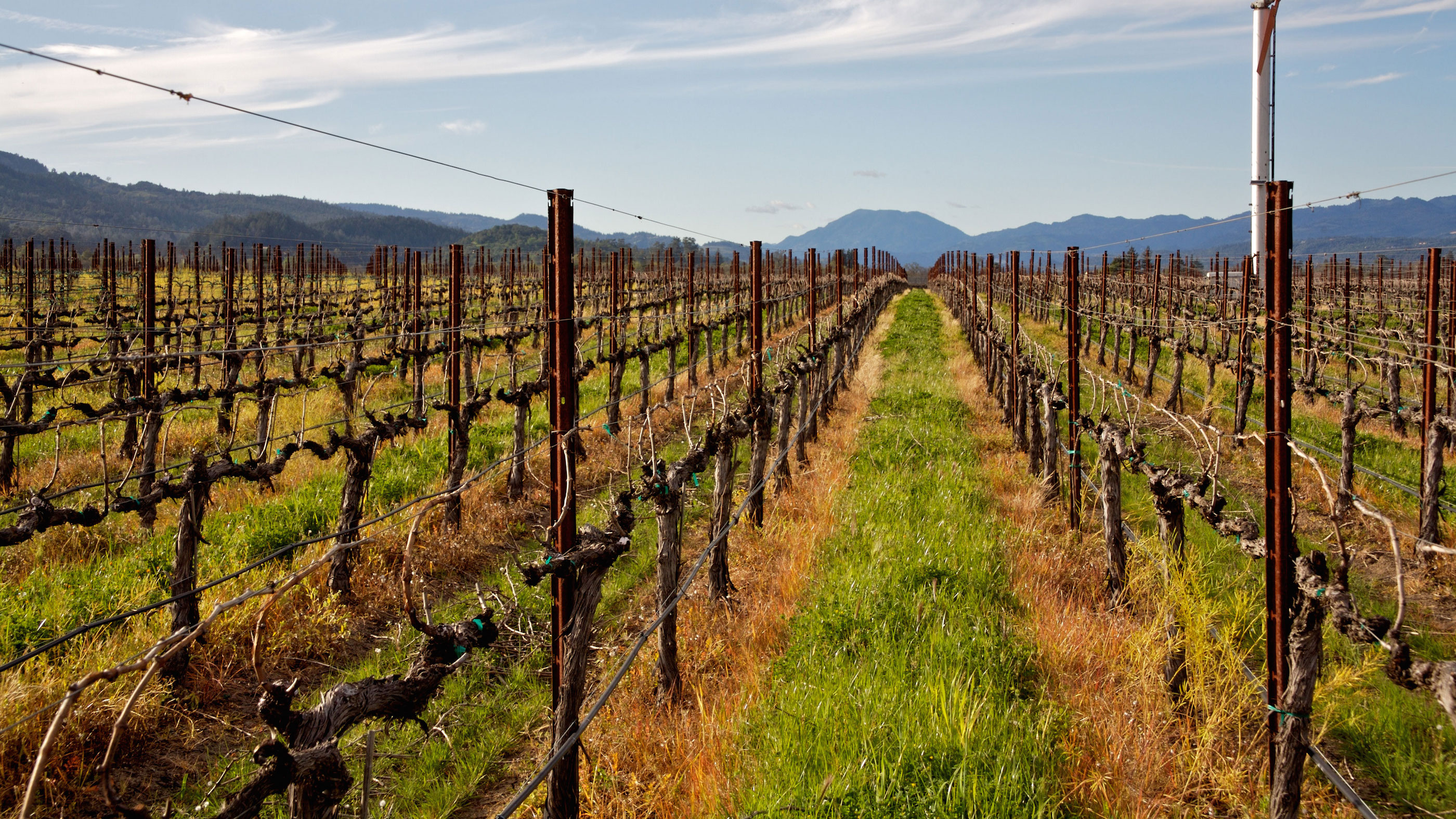 California Strikes Gold in 2012 and 2013 Wine Spectator's