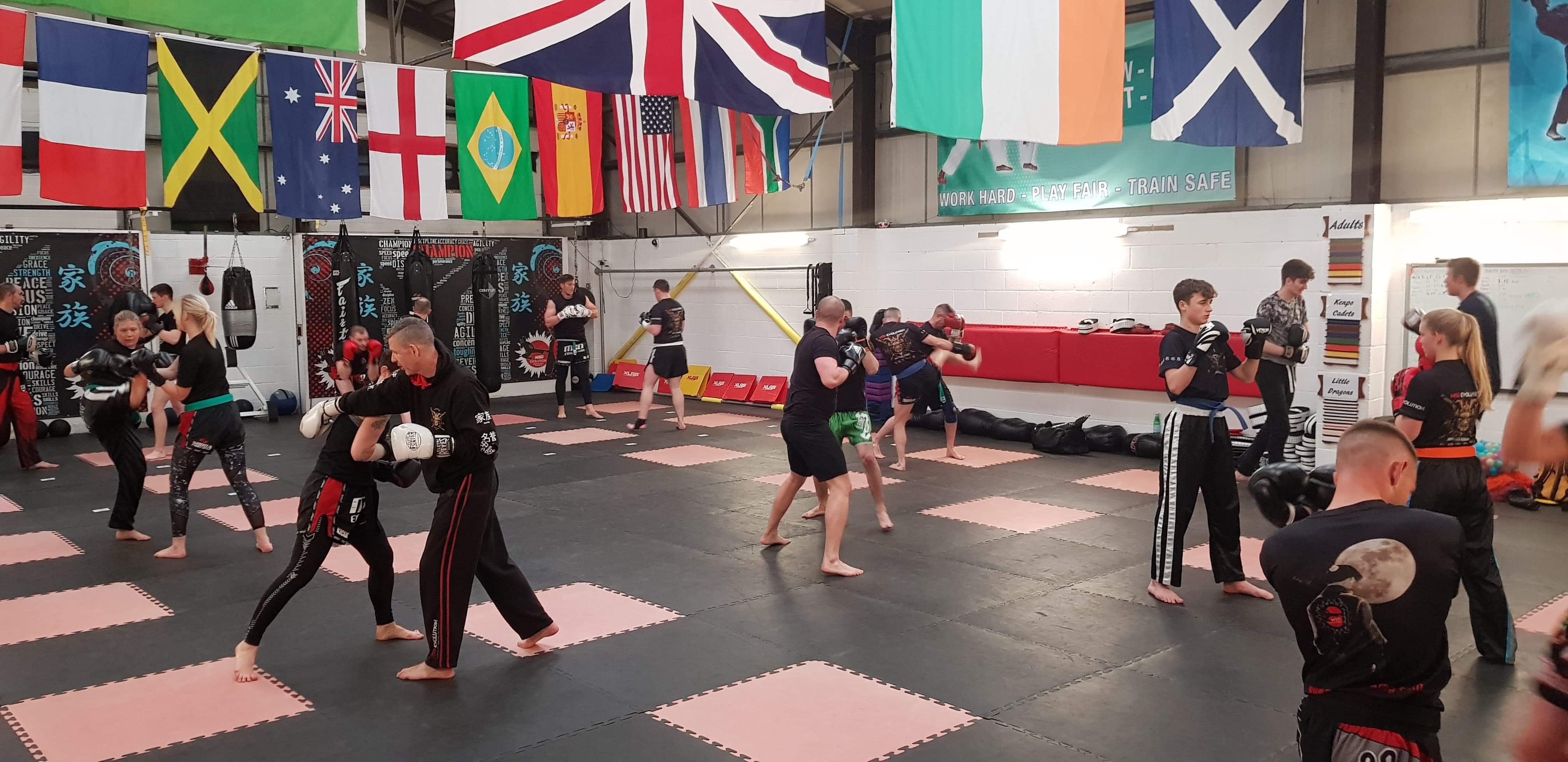 MSD Evolution Martial arts training online for Cadets. MSD