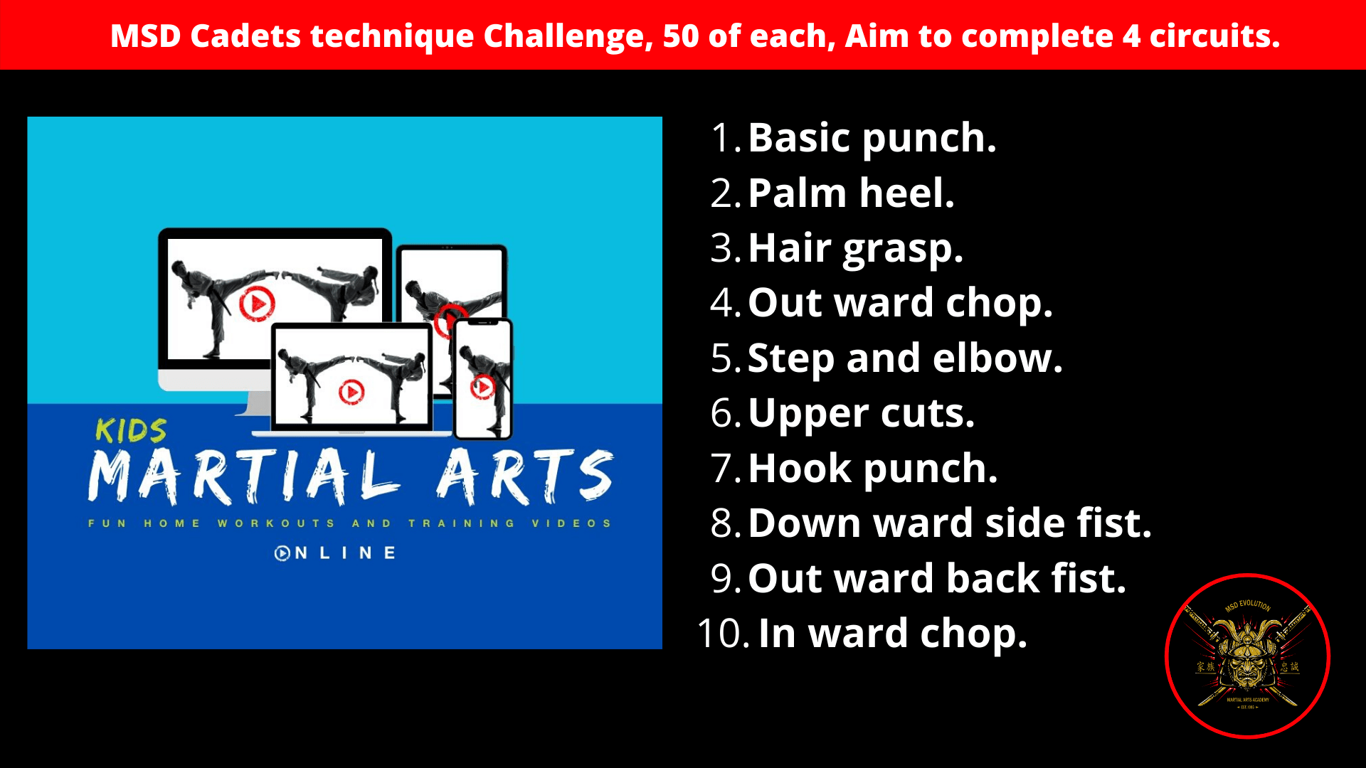 MSD Evolution Martial arts training online for Cadets. MSD