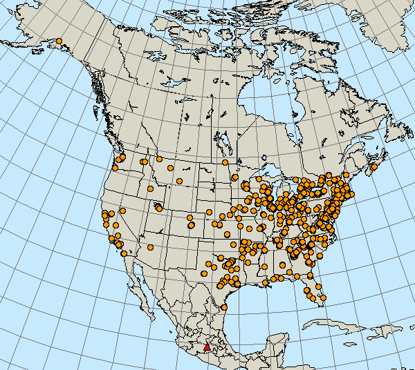 Monarch Migration Mrs. Nichols' Technology Class