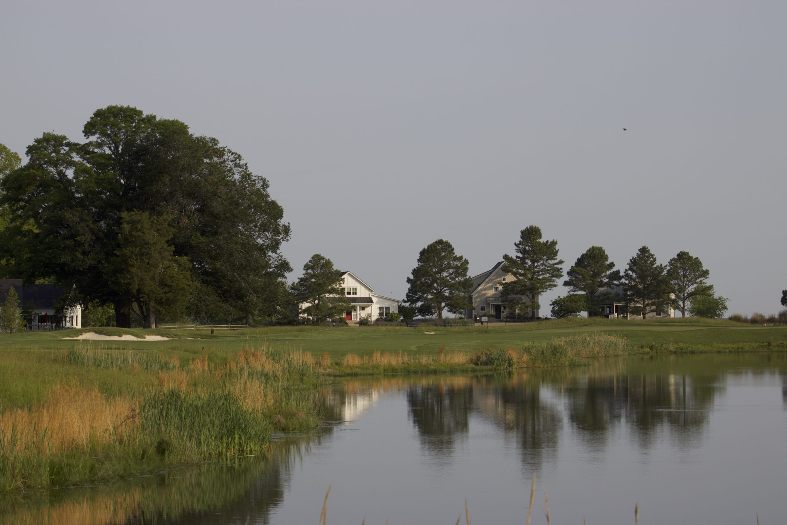 102nd Maryland State Am/Open Qualifier 4 Queenstown Harbor Recap