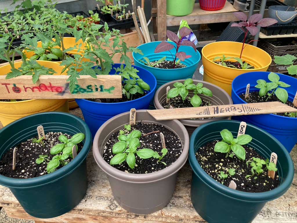 Edna Drinkwater School Maine School Garden Network