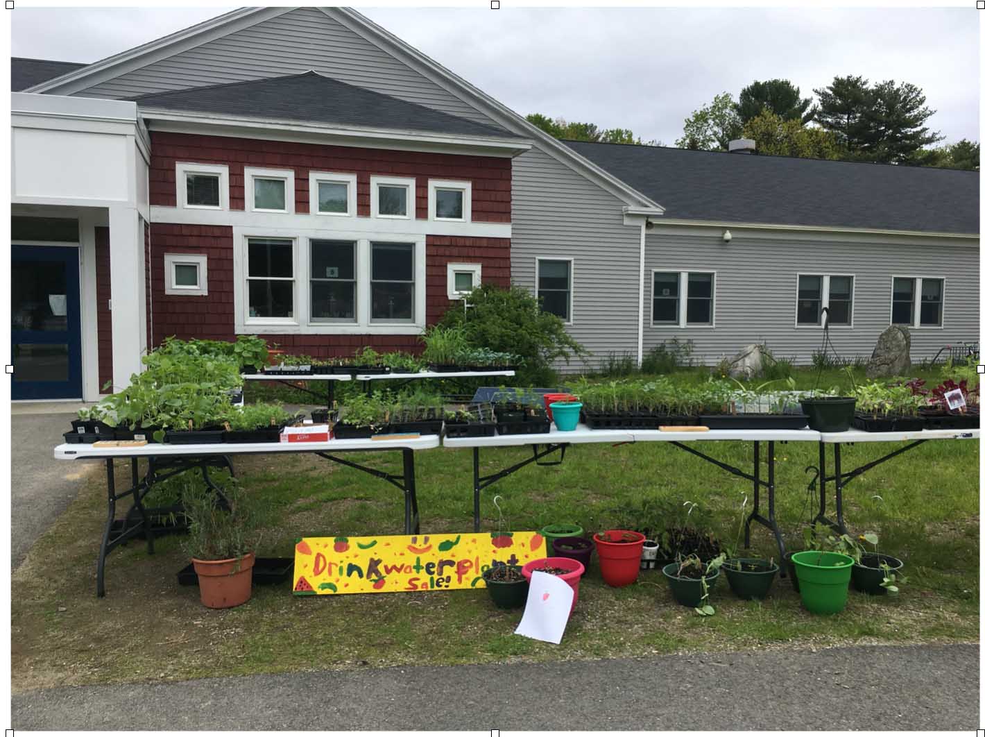Edna Drinkwater School Maine School Garden Network