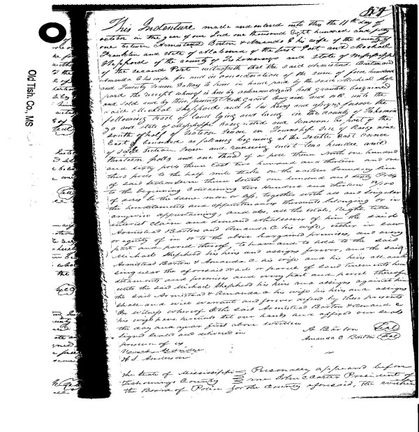 Tishomingo County part of the MSGen