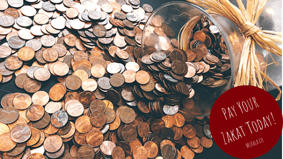 Pay Your Zakat Today! Ms. Hala