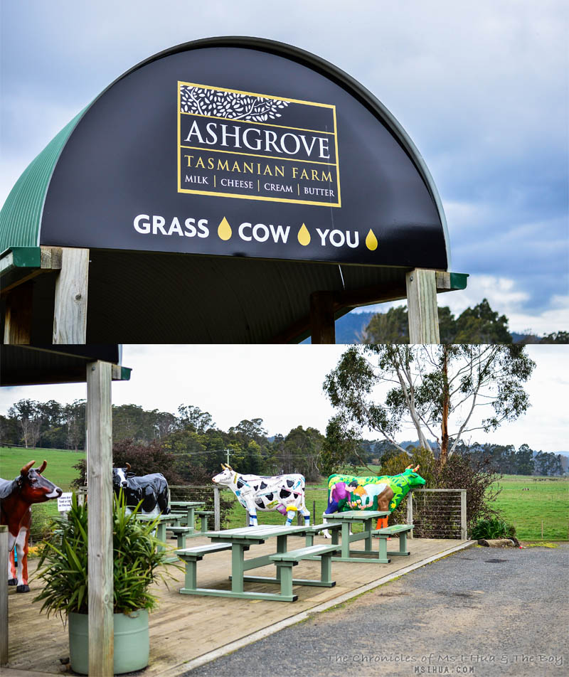 Tasmania Selección de Restaurantes y Cafeterías