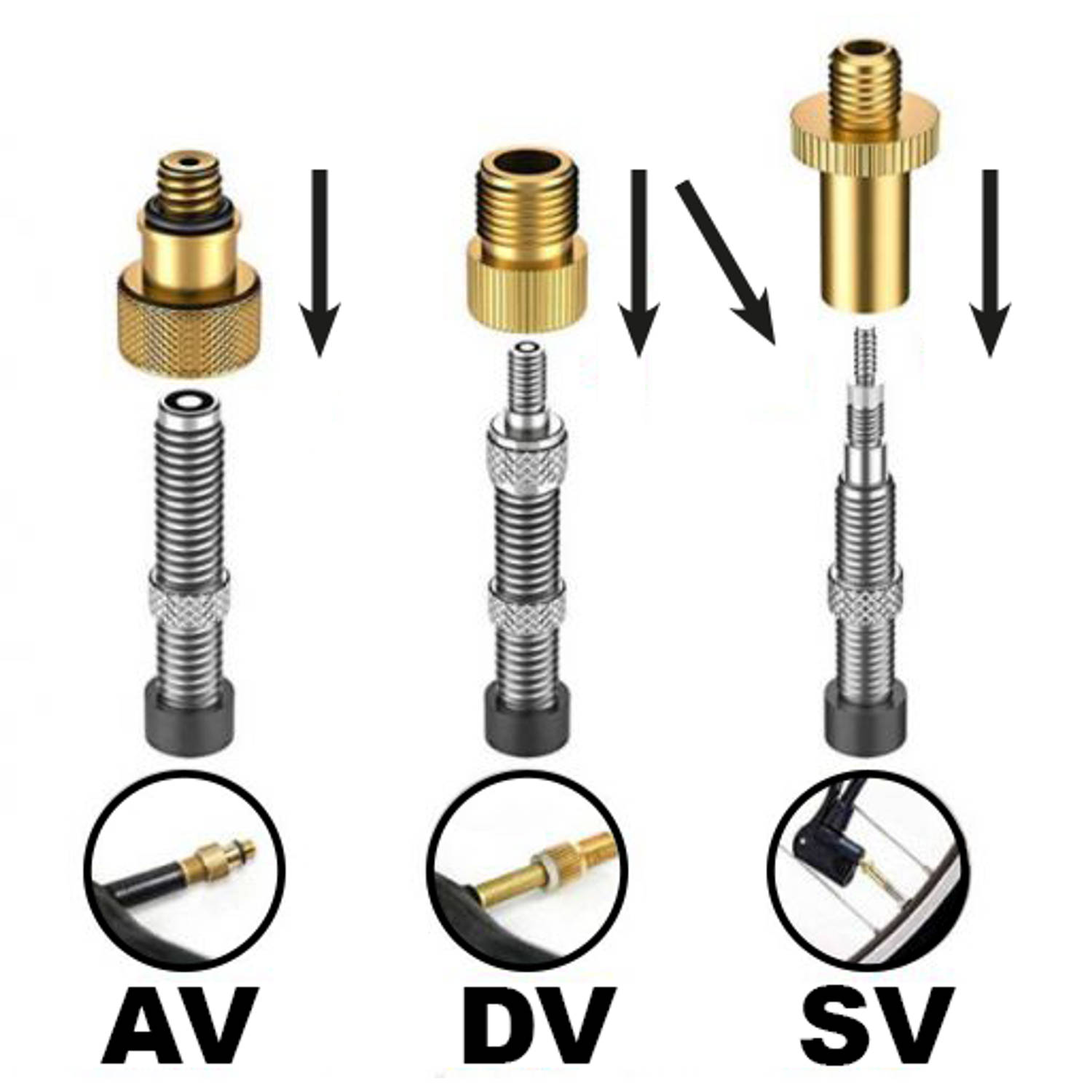 DUNLOP Jeu d’adaptateurs de valves pour bicyclette, 14 pièces MSKA
