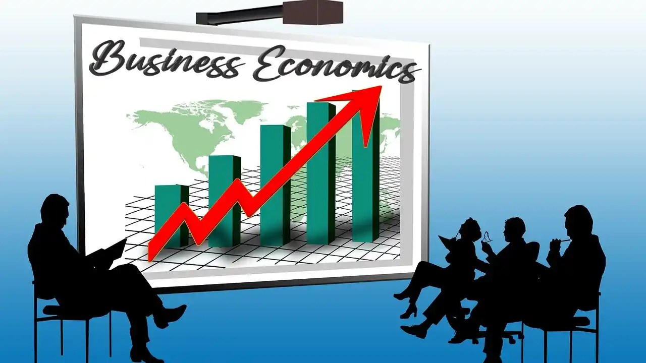 Business Economics Meaning with Examples MSMEs Business