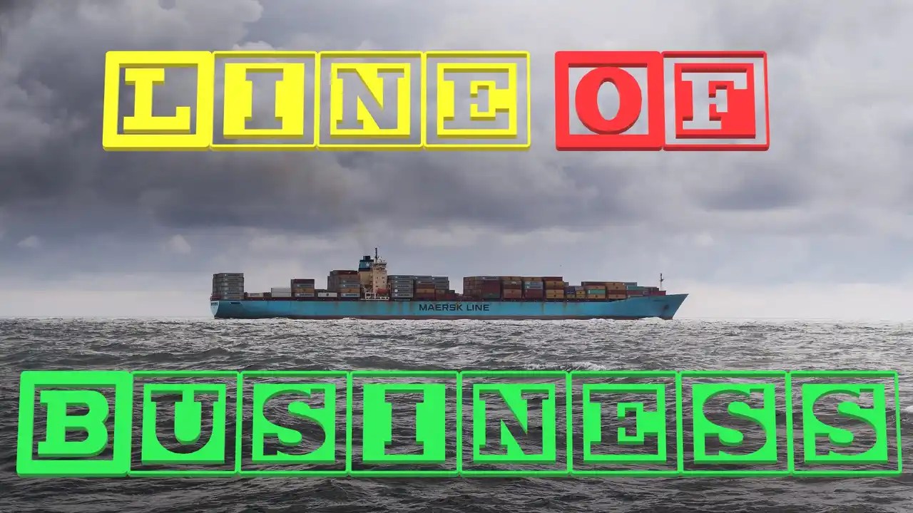 Line of Business Meaning with Examples MSMEs Business