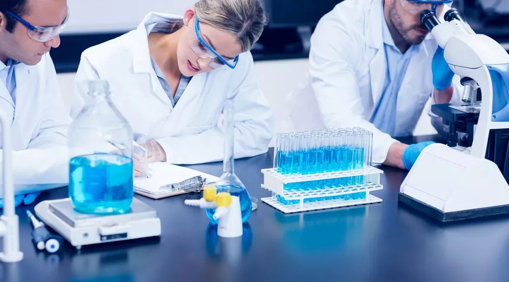 OneYear Foundation for Medical and Life Sciences Degrees (CZ or EN) in CULS / CTU / UCT Study