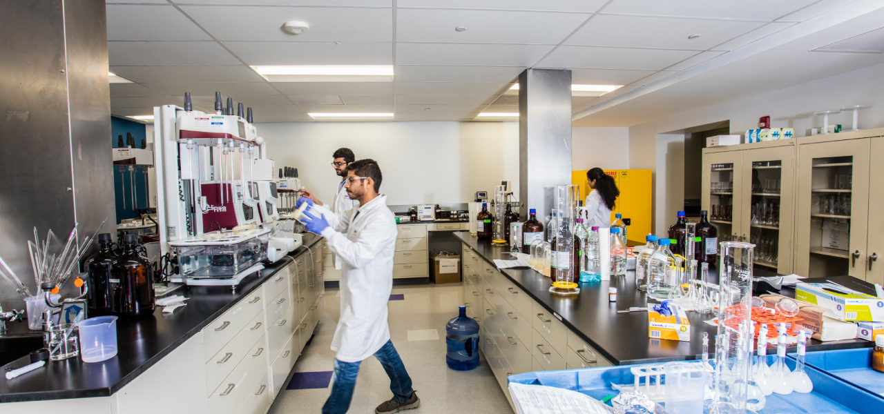 MSN Pharmaceuticals Inc. An MSN Company Leading Pharmaceutical company