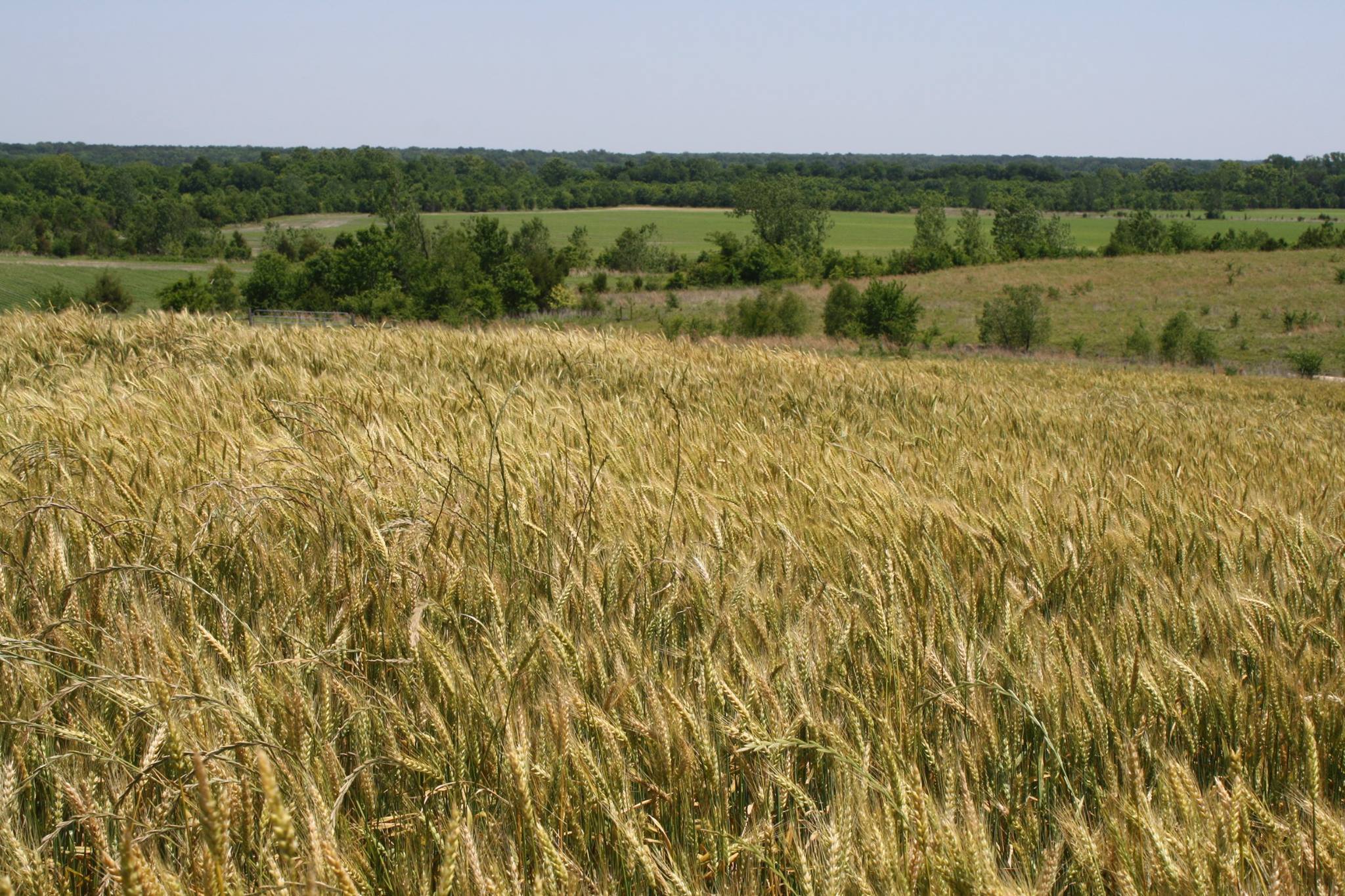 Prairie Wildlife Mississippi Perks Pass
