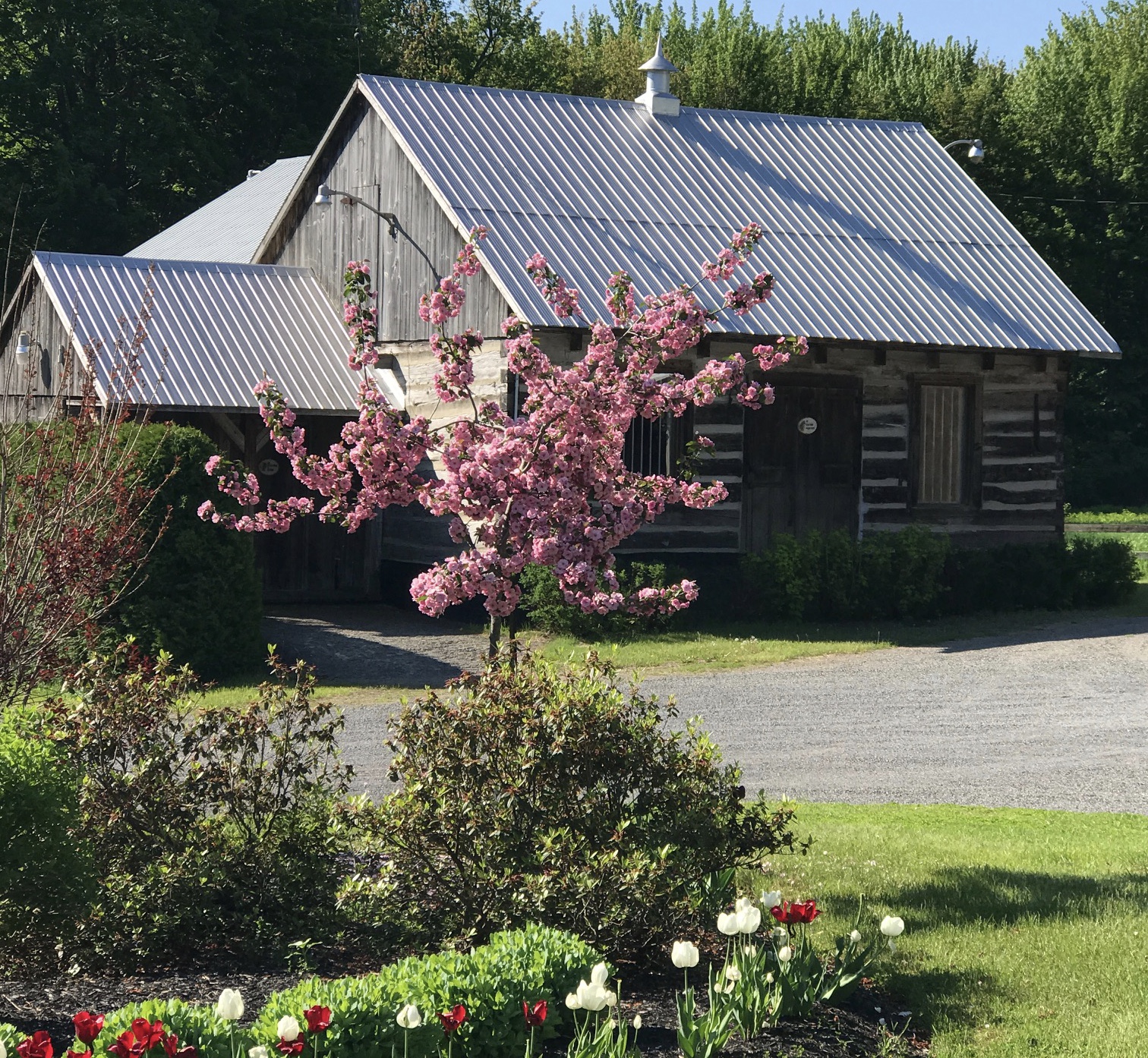 Saint Lazare Quebec Houses For Sale at Thomas Holifield blog