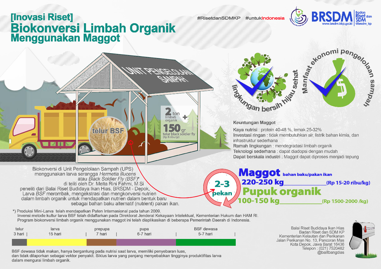 Biokonversi Limbah Organik Menggunakan Maggot Manajemen Sumberdaya(04)