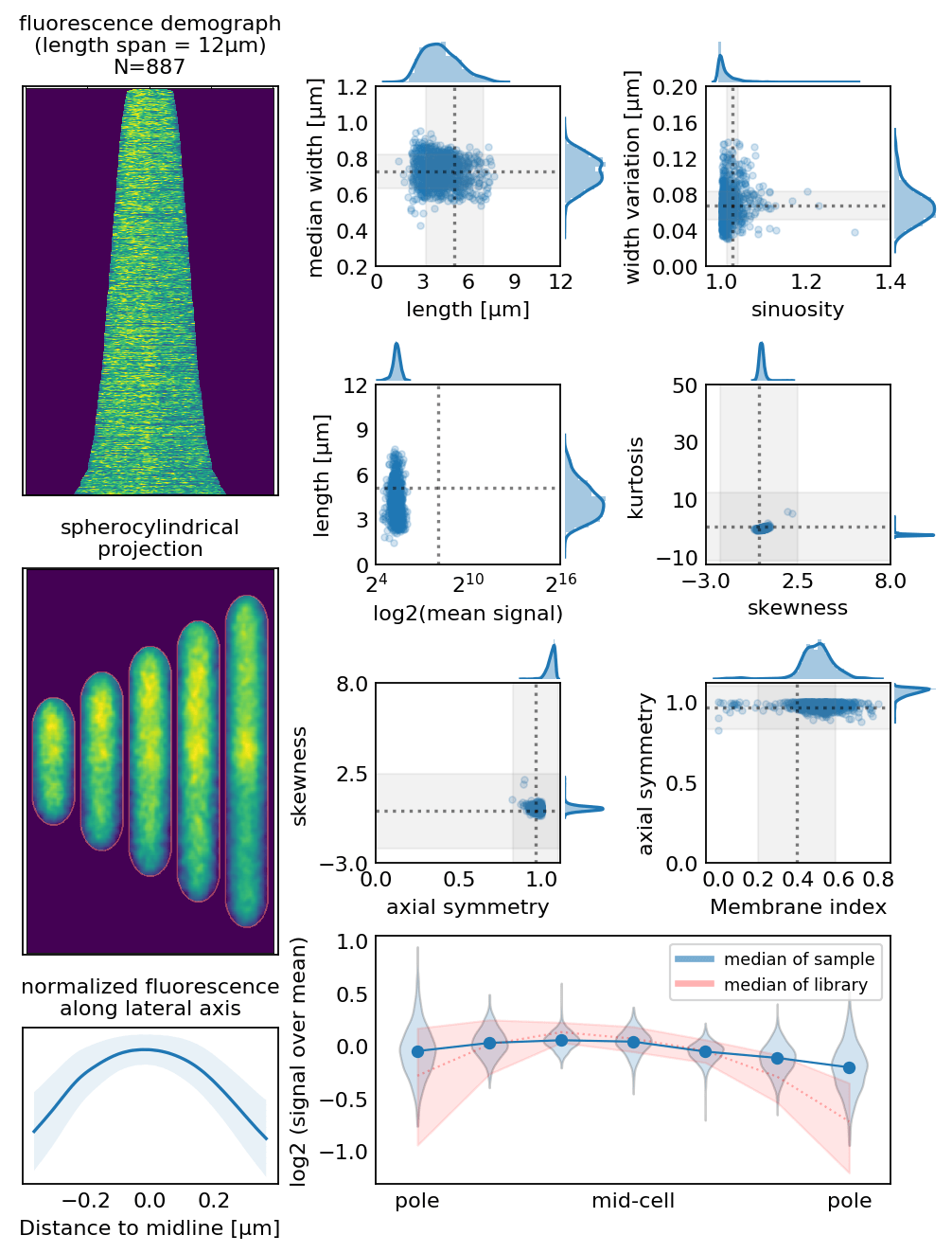 MSRdb Mycobacterial Systems Resource