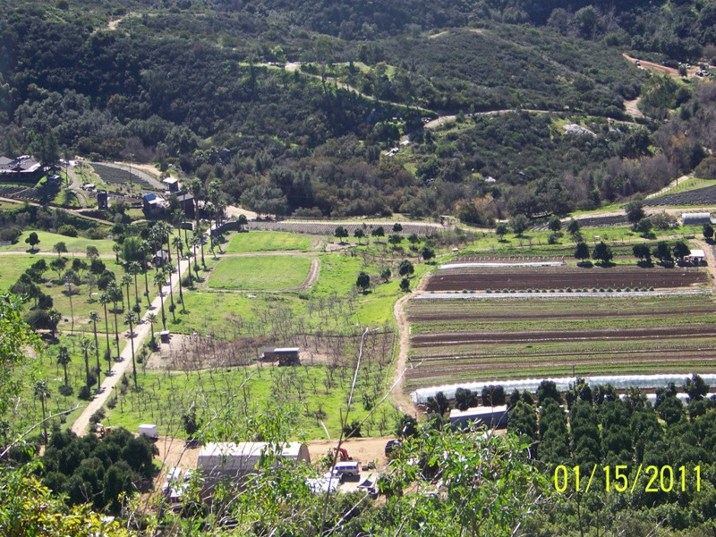 The Morning Star Ranch Our Organic Farm