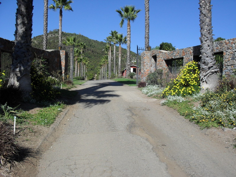 The Morning Star Ranch Our Organic Farm
