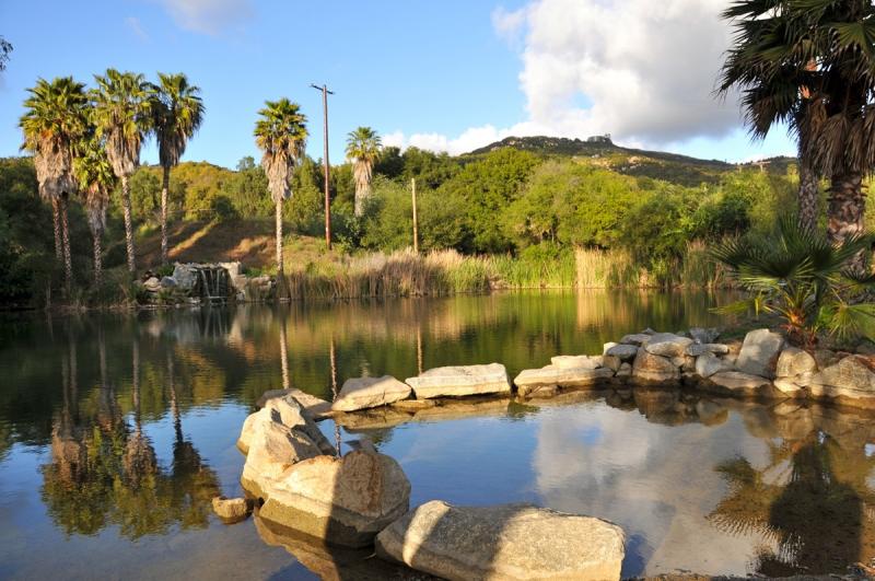 The Morning Star Ranch Our Organic Farm