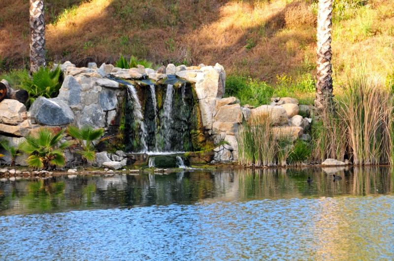 The Morning Star Ranch Our Organic Farm