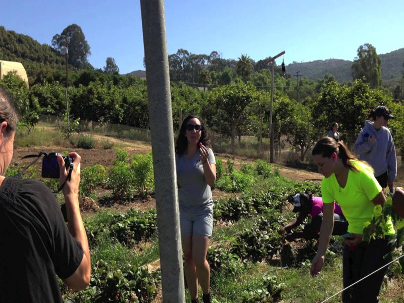 The Morning Star Ranch Our Organic Farm