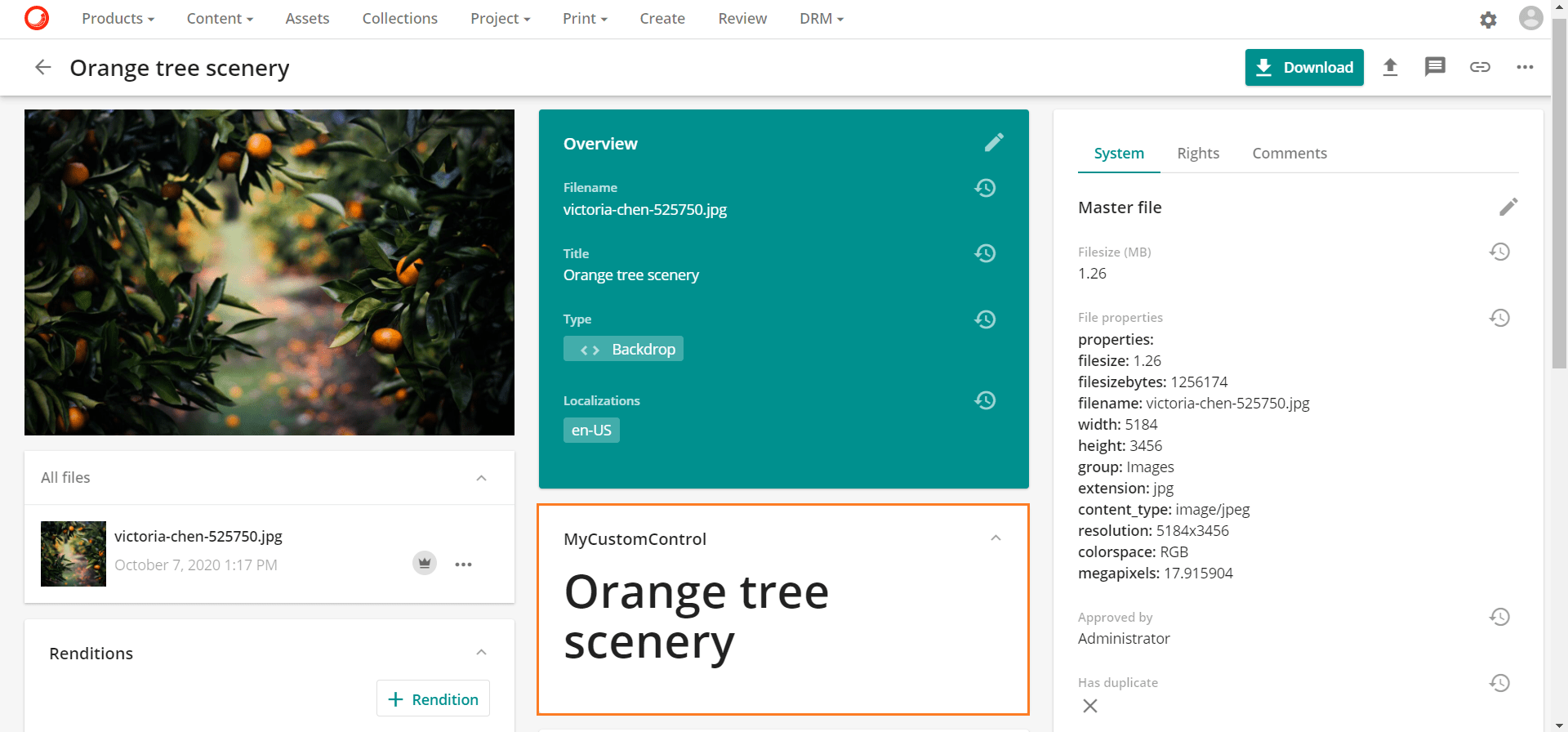 Handlebars example Sitecore Documentation