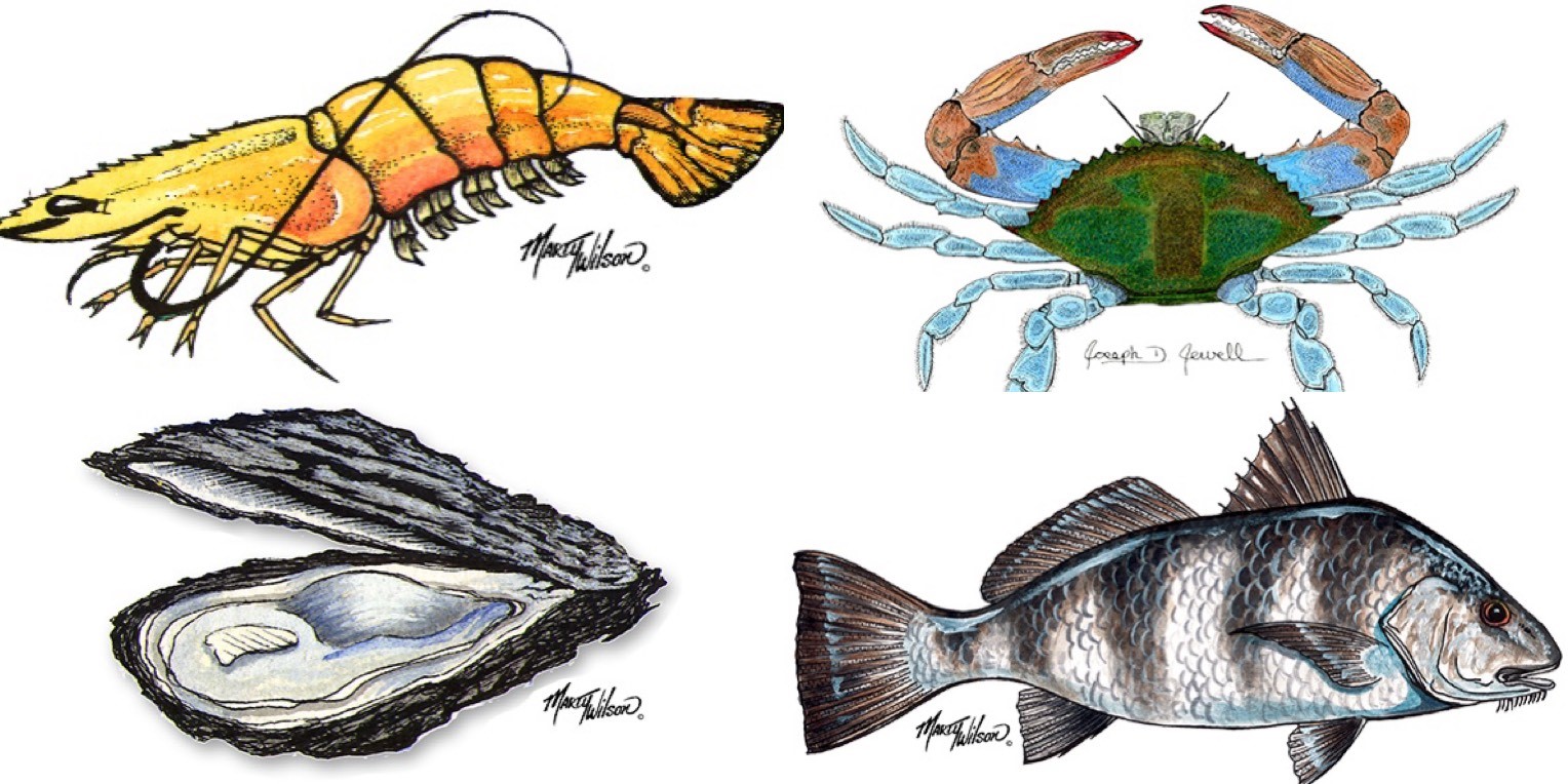 MISSISSIPPI SEAFOOD HOME Mississippi Seafood