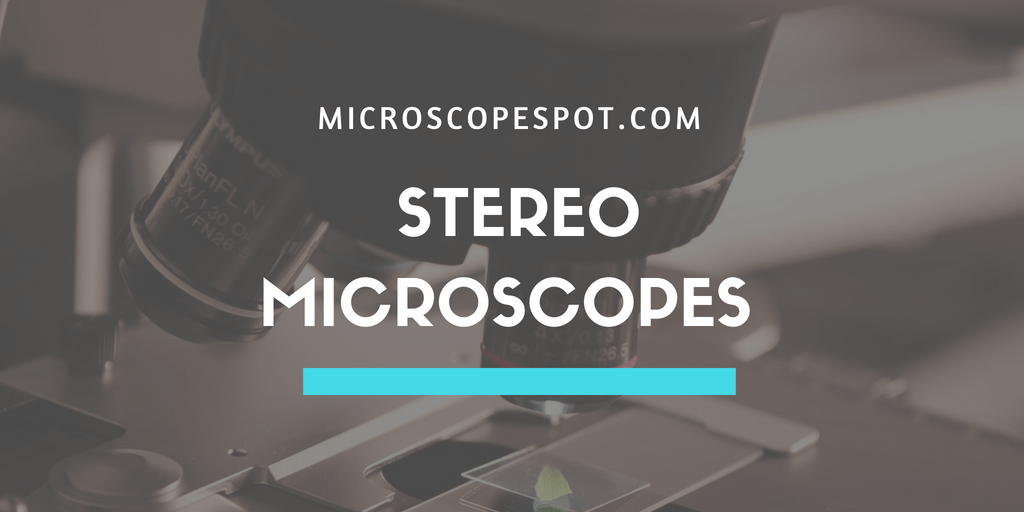Best Stereo Microscopes A Comprehensive Guide