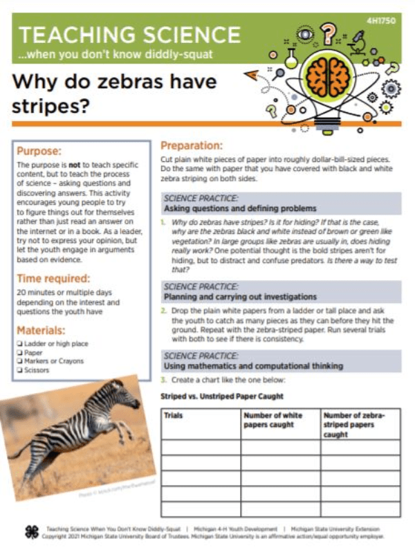 Teaching science when you don’t know diddlysquat Why do zebras have