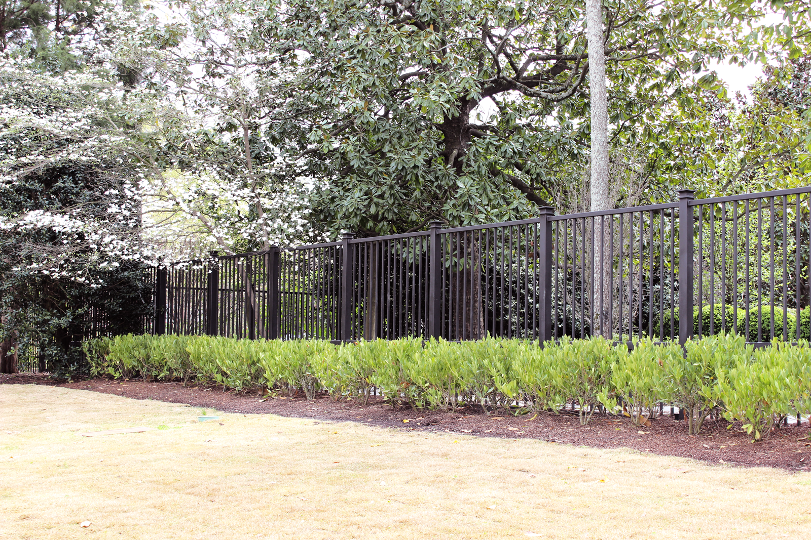 Memphis Metal Fencing Fencing Memphis MSW Ornamental