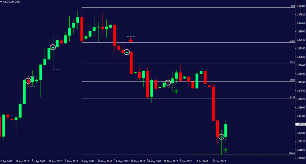 Fibonacci Pin Bar indicator MT4 Trend Indicator