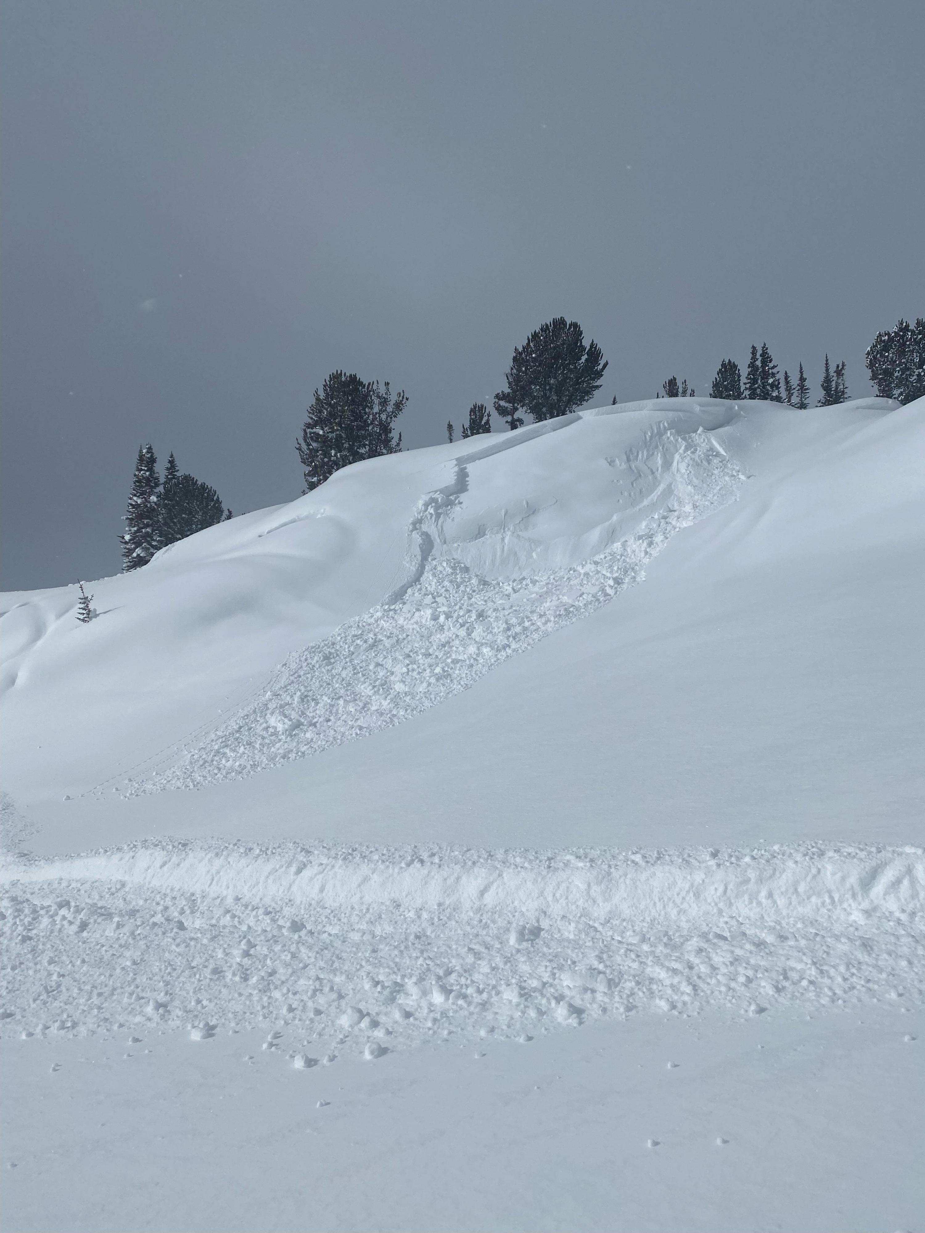 Remote Triggered Avalanche near Goose Lake Gallatin National Forest