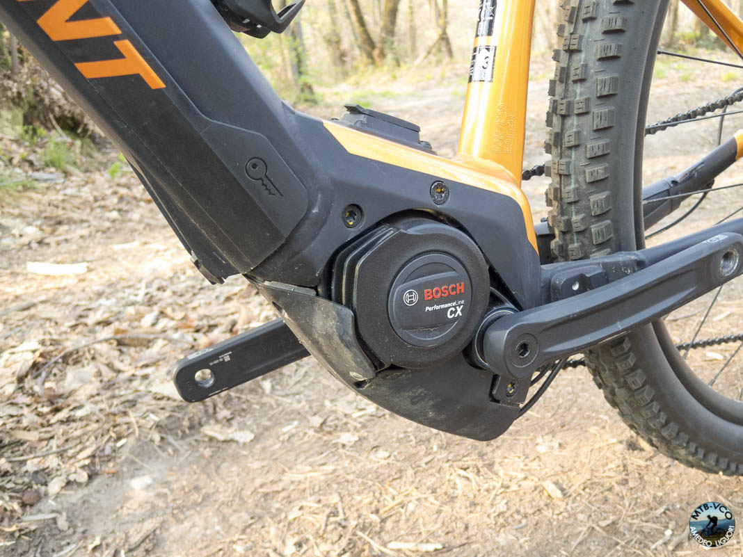In test BERGAMONT ERevox Expert