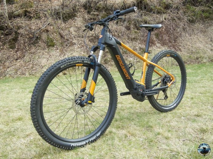 In test BERGAMONT ERevox Expert