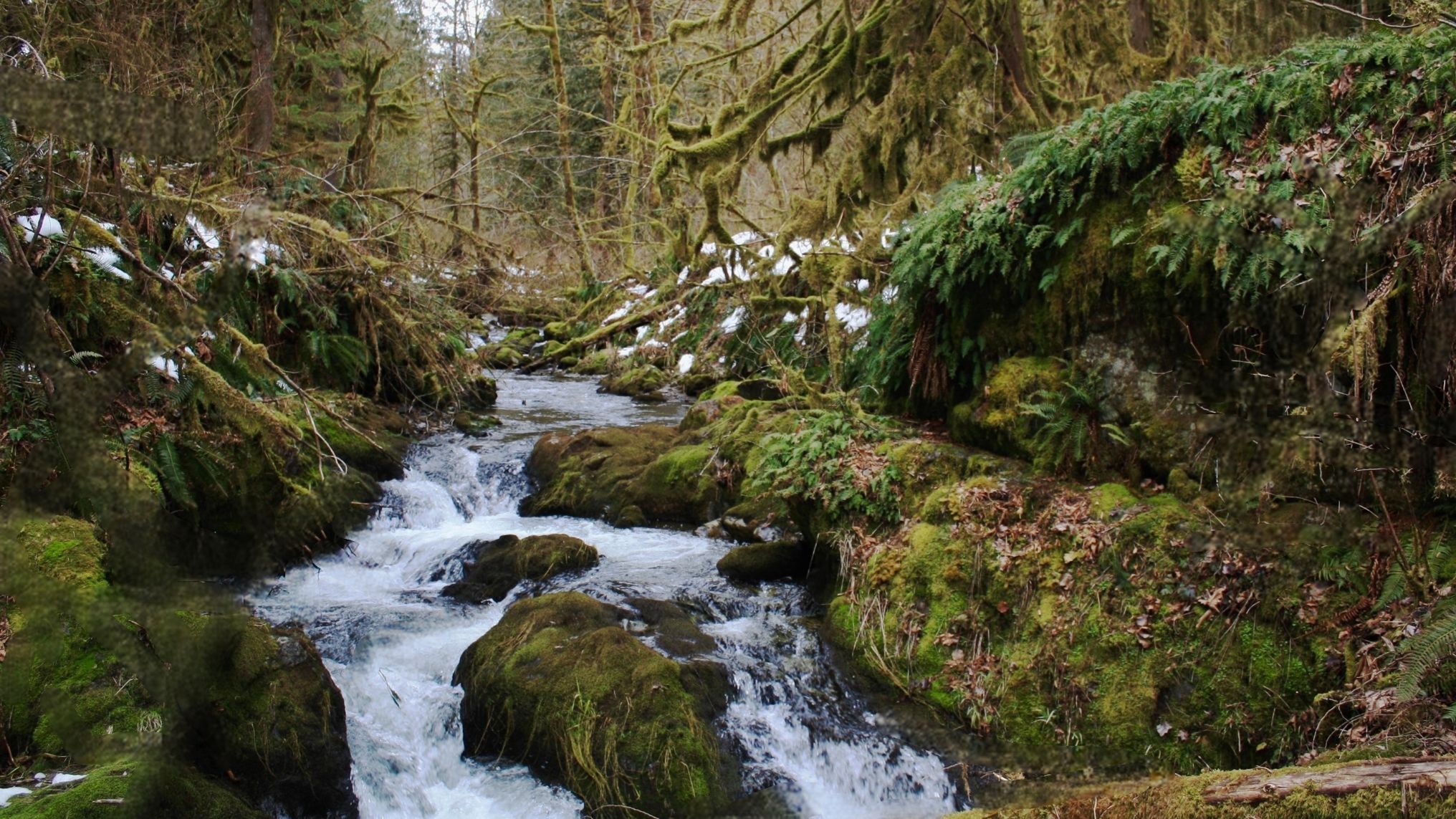 Maple Falls Mt. Baker Lodging, Inc.