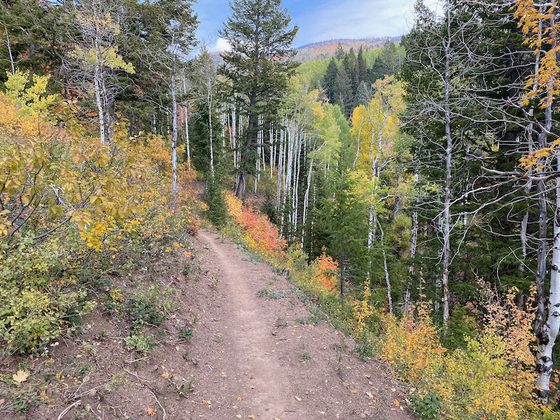 Slate Creek Loop Kamas, Utah (Uintas) MTBKR