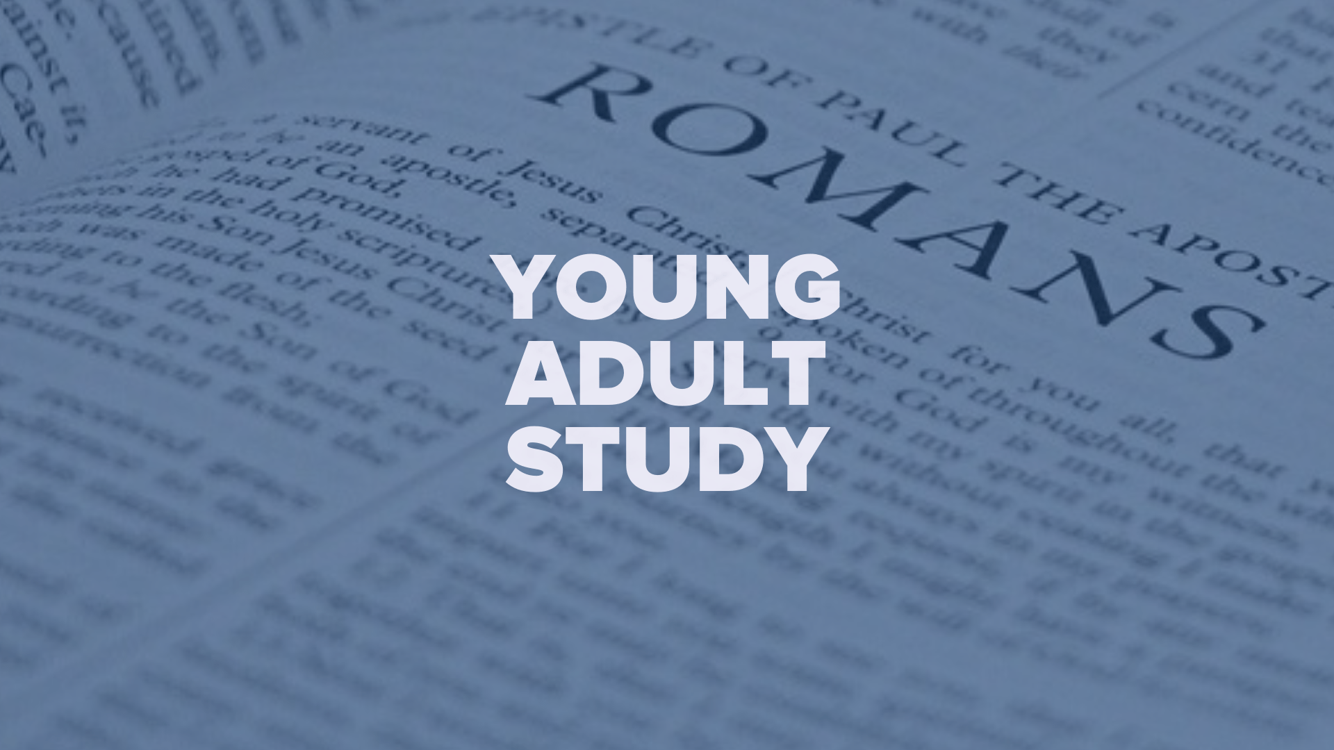 Young adult bible study Telegraph