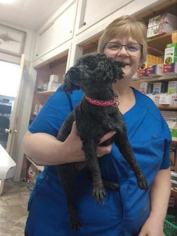 Payment Options Mt. Carroll Veterinary Clinic