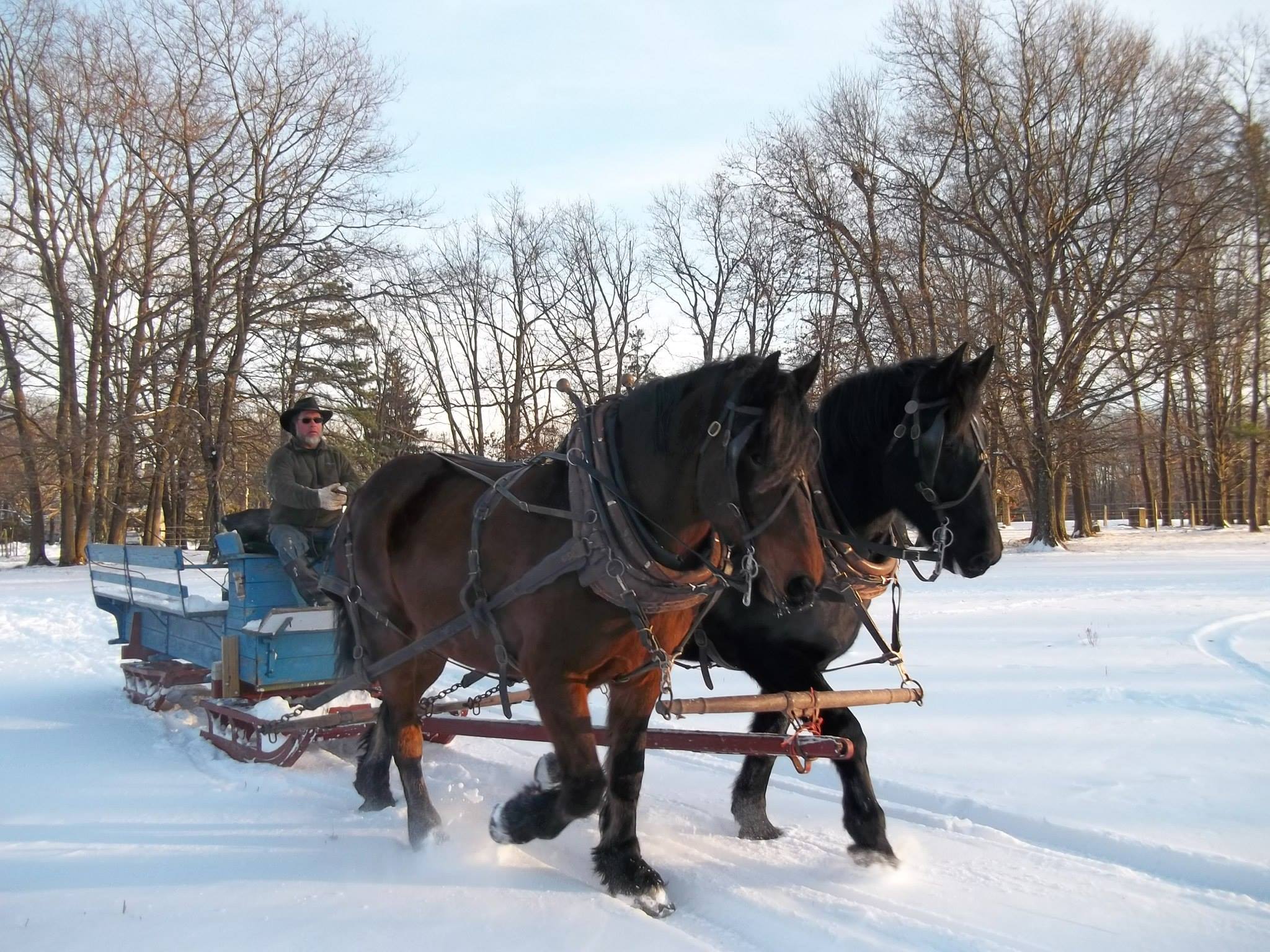 HorseDrawn Winter Sleigh Rides in the Poconos, PA Mountain Creek