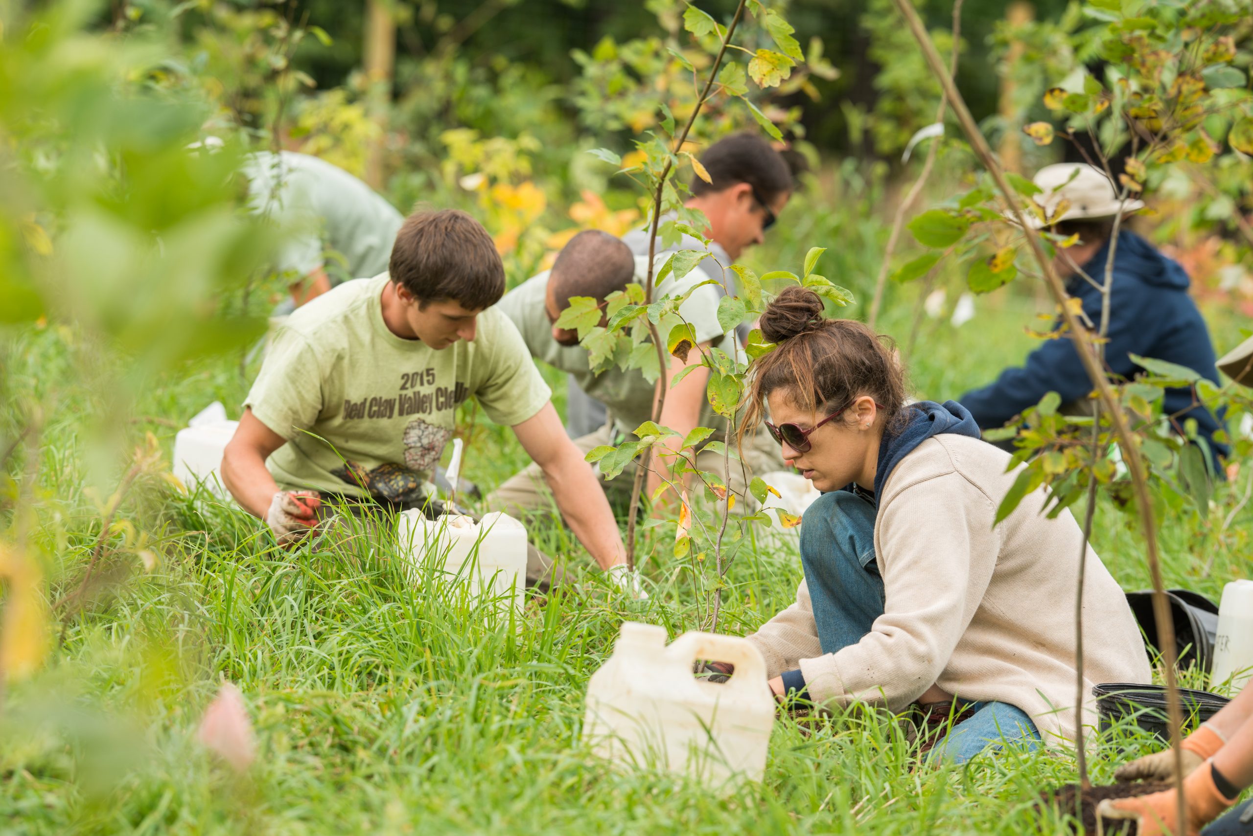 Mt. Cuba Center Rebuilding a Forest Mt. Cuba Center