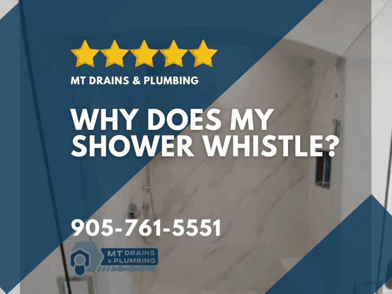 Why Does My Shower Whistle? Plumbing FAQ MT Drains & Plumbing