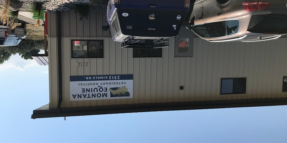 2312 KIMBLE DR, BILLINGS, MT 59101 Montana Equine