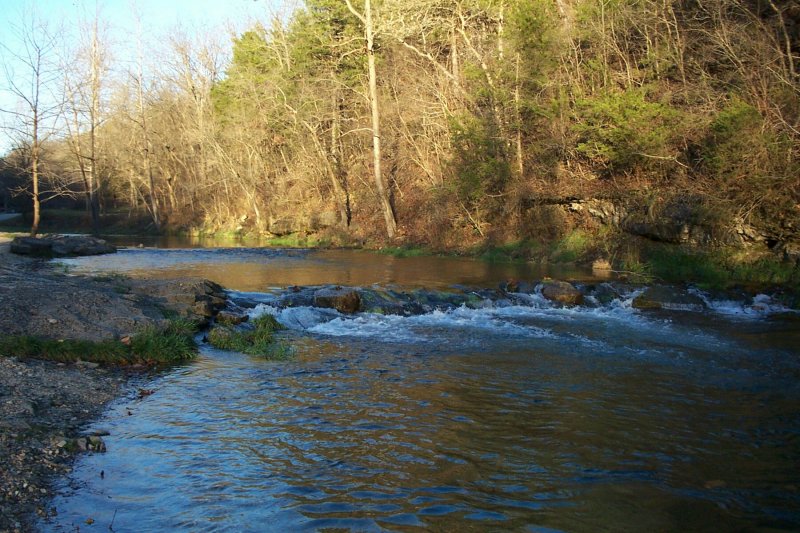 Missouri Trout Fishermen's Association / Photo / Southwest Missouri
