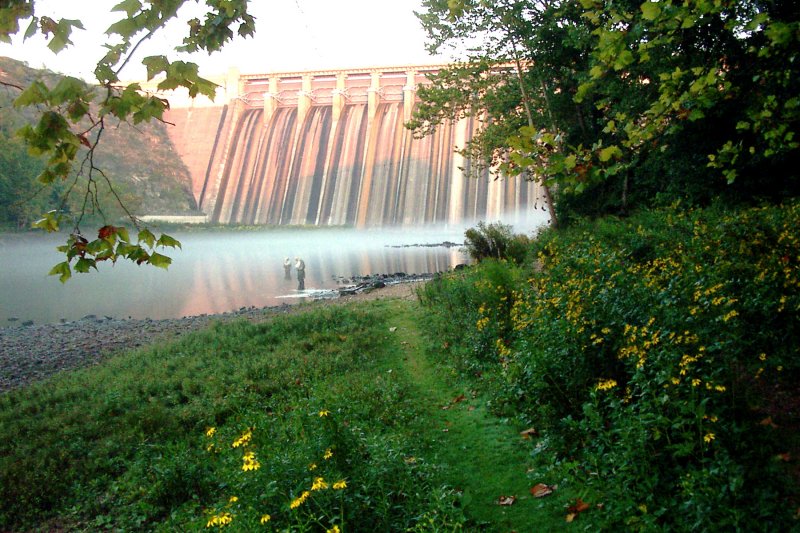 Missouri Trout Fishermen's Association / Photo / Southwest Missouri