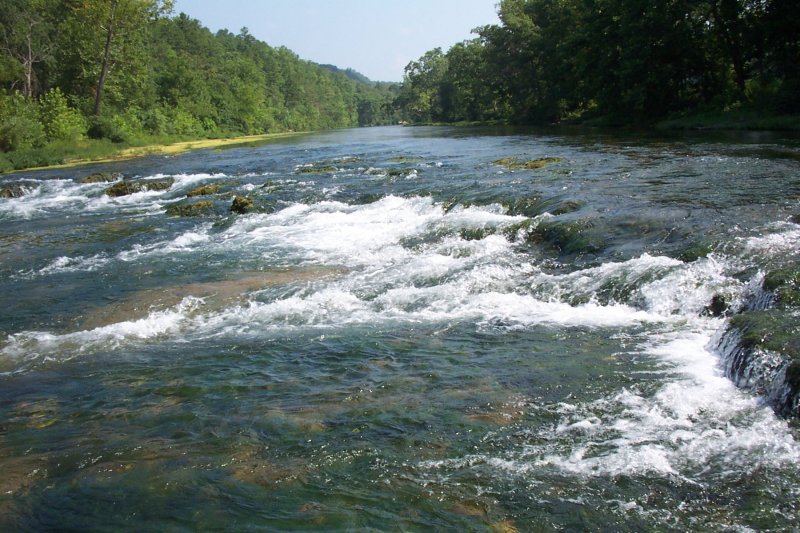Missouri Trout Fishermen's Association / Photo / Southwest Missouri