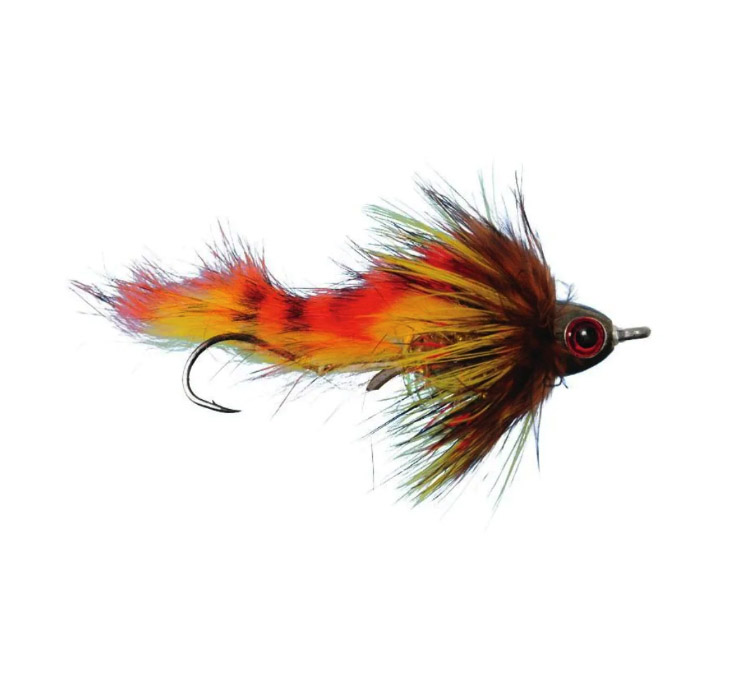 Top Flies for Big Fall Trout