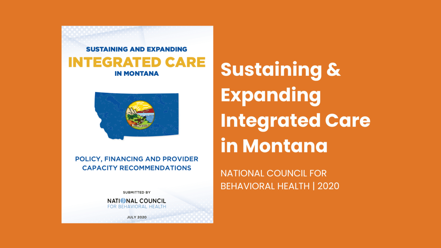 2024 Issue Brief The Role of Primary Care in Behavioral Health