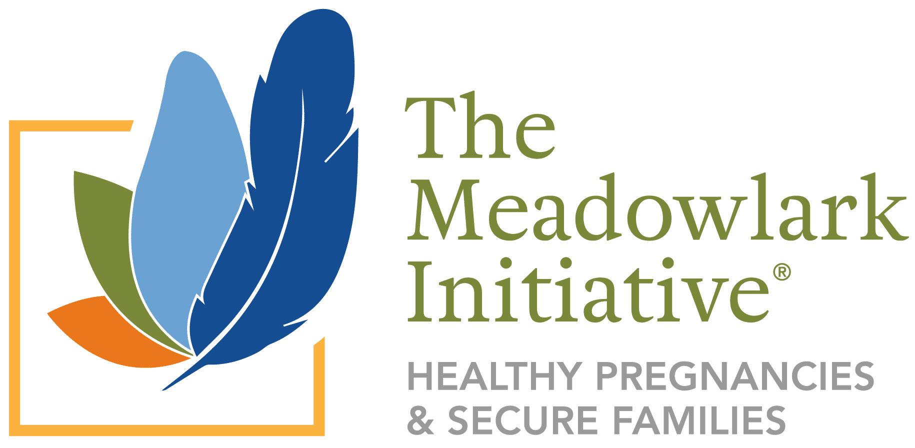 The Meadowlark Initiative® Montana Healthcare Foundation