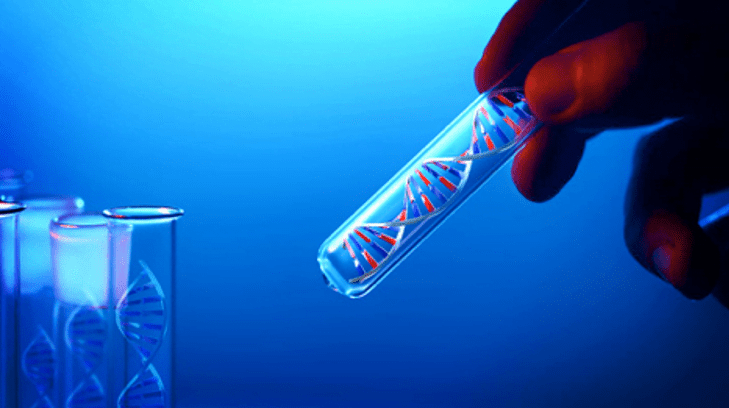 MTHFR Mutations may Result in Miscarriages. Learn how you can prevent